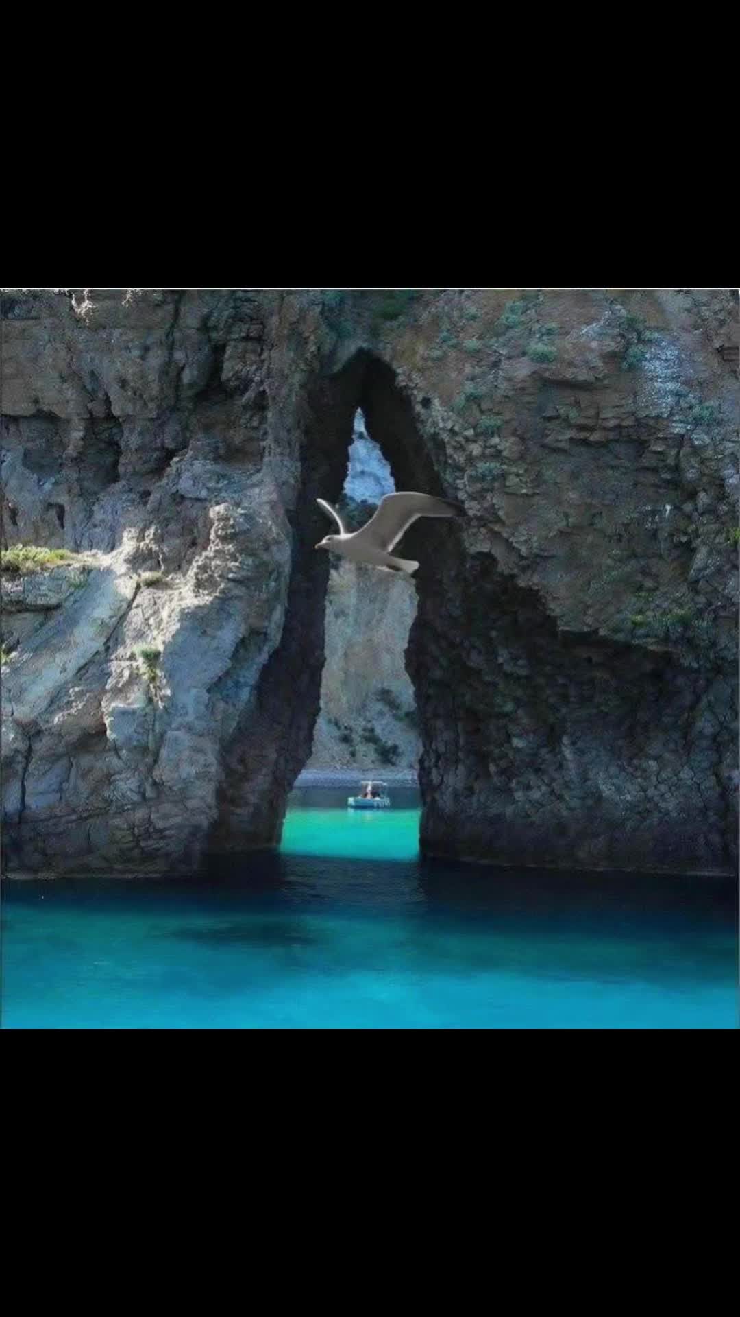 @nunziacervone16❤️