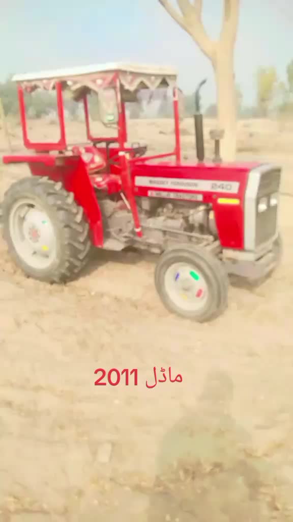 @GULMEER Dhuli 5211