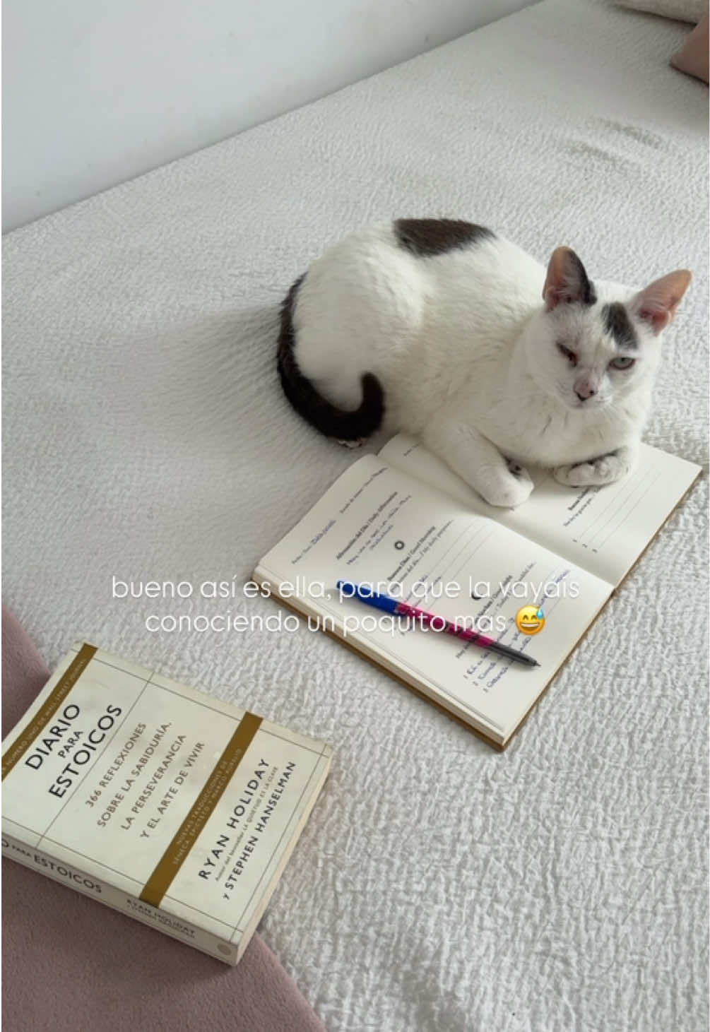 @Estefanía Fernández