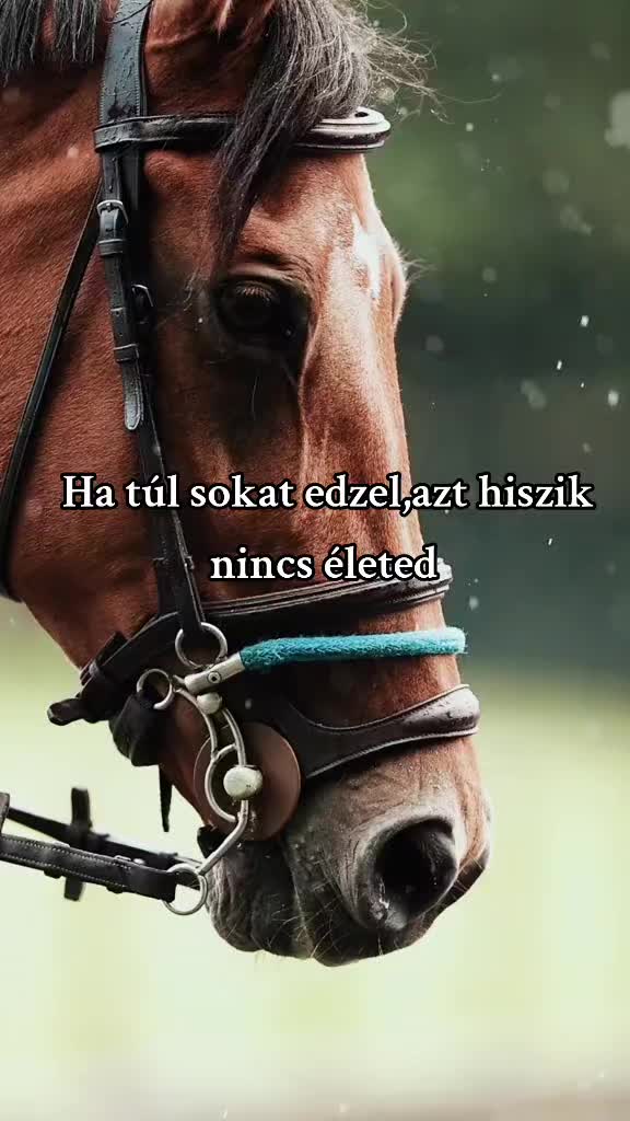 @✨𝓢𝔃𝓪𝓫ó 𝓥𝓲𝓴𝓽ó𝓻𝓲𝓪✨
