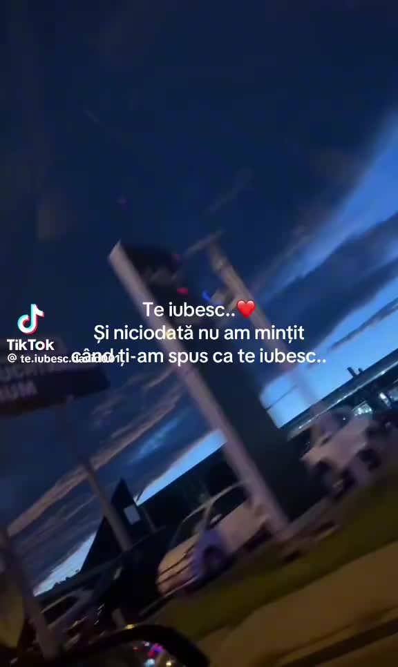 @ralucaralu986