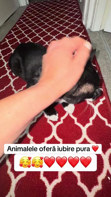 @Varsator E❤️L❤️I❤️Z ❤️A❤️