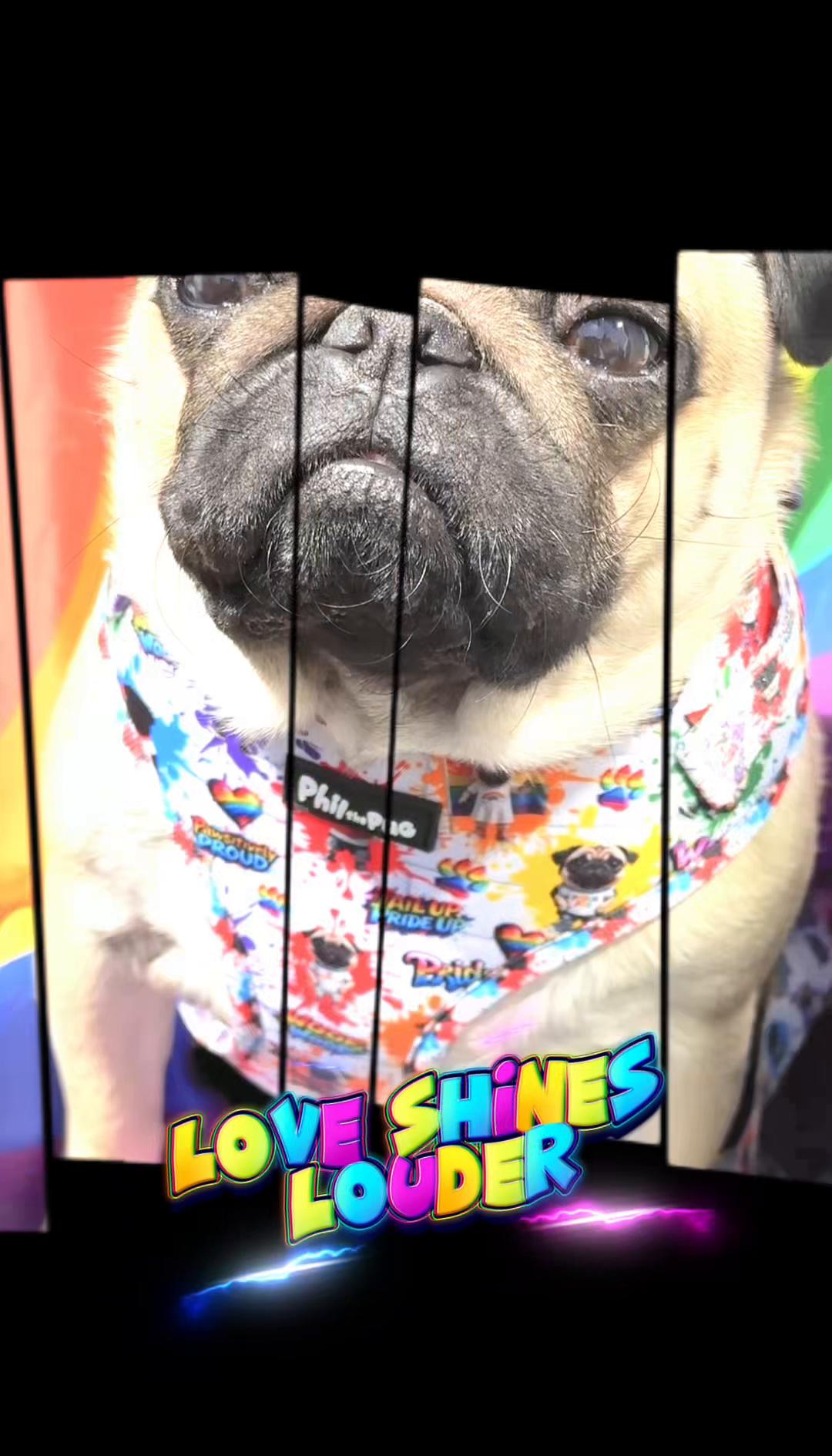 @Phil The Pug