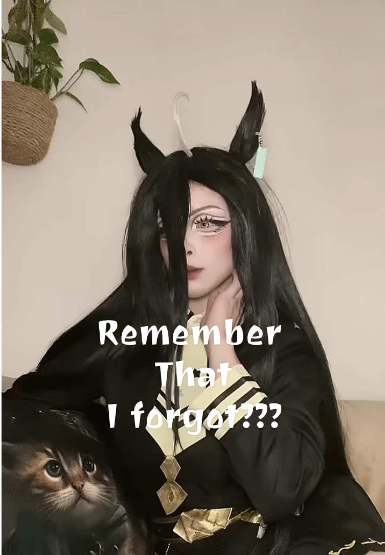 @˚₊‧꒰ა ꪑꪮꪑꪮ ໒꒱ ‧₊˚