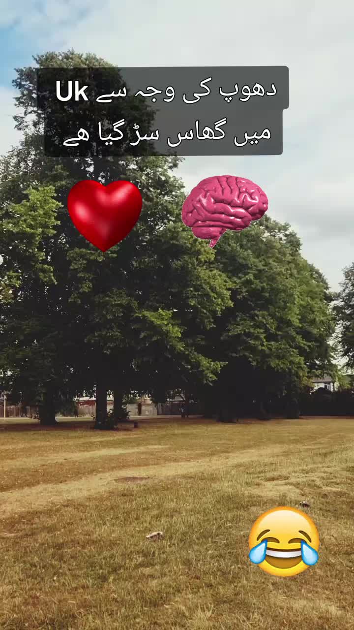 @Zubi🙋&zwj;♀️زوبی