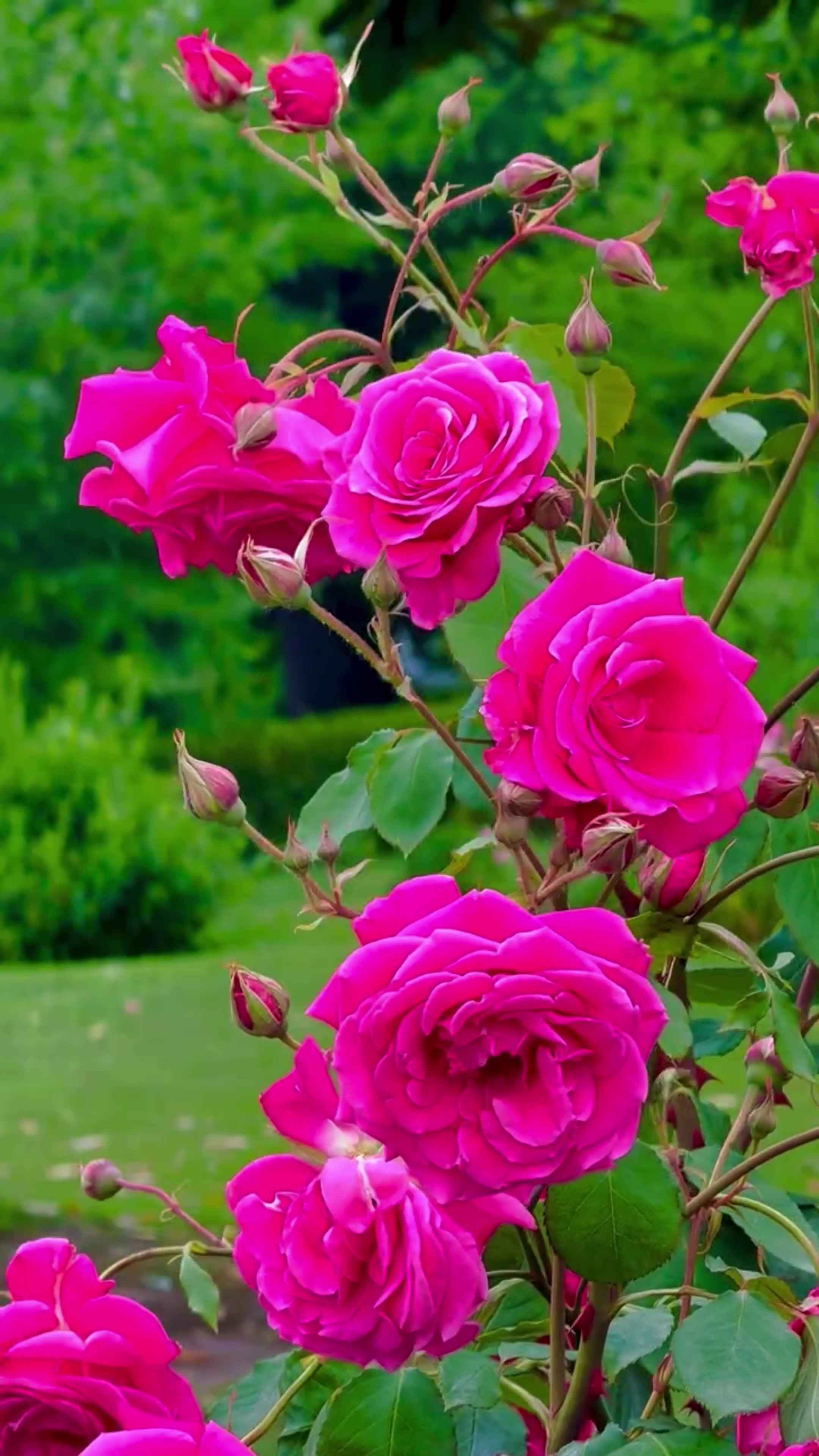 @World 🌍 beauty