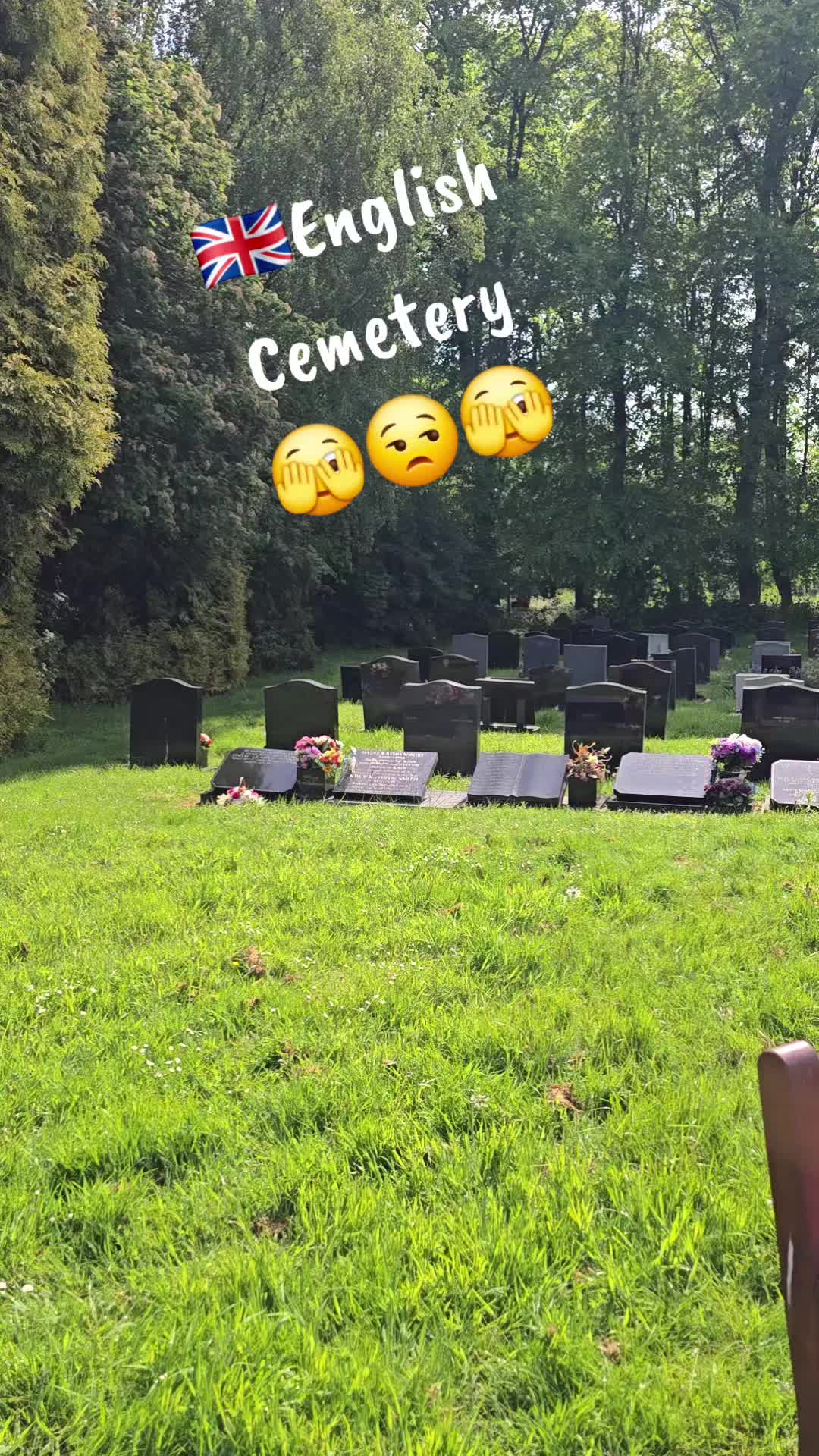 @mariuszmwm