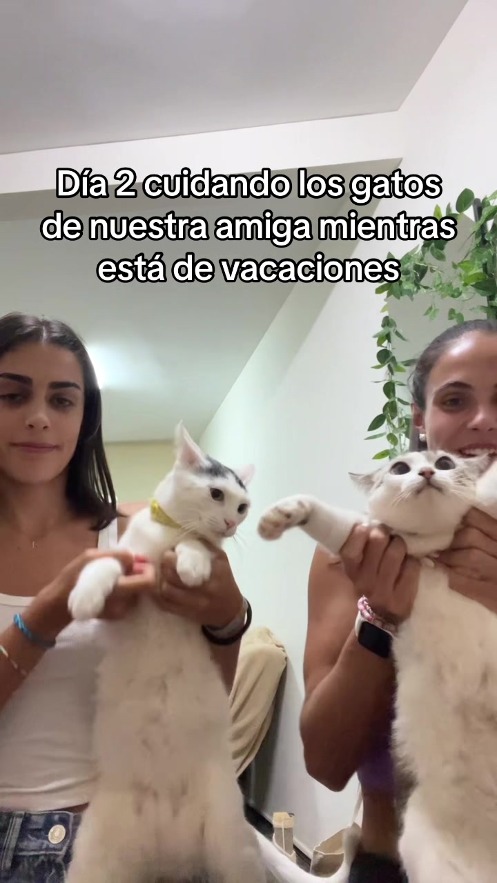 @Ana