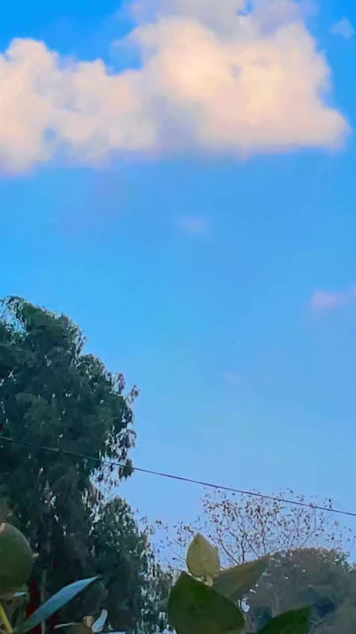 @DiLwaLy71