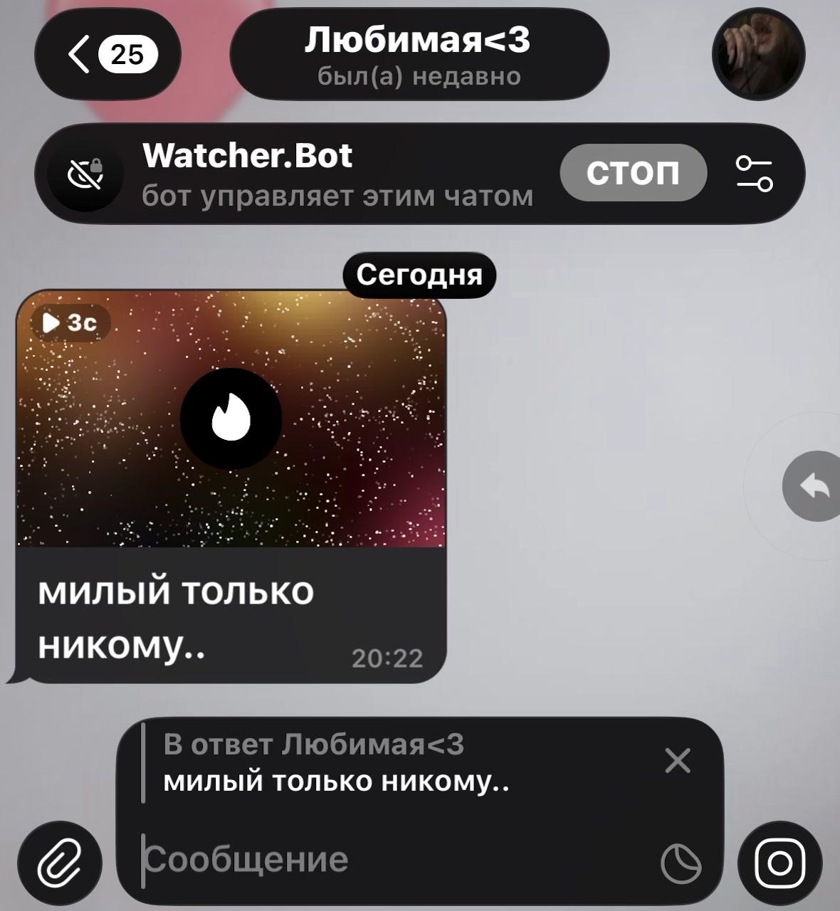 @Watcher.Bot