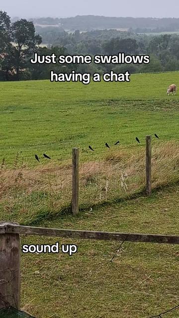 @Pippa's Country Life