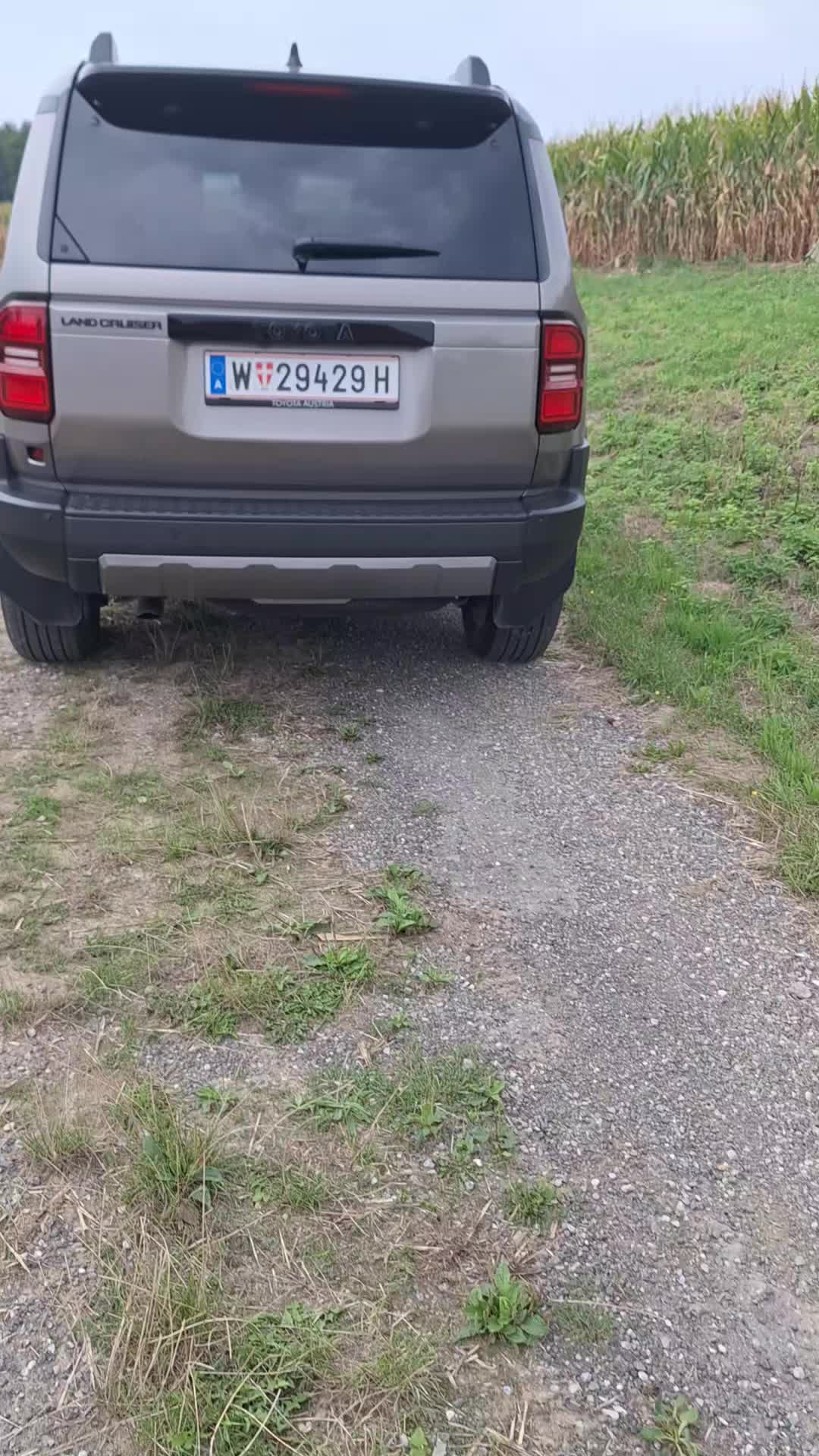 @Motoriero1974