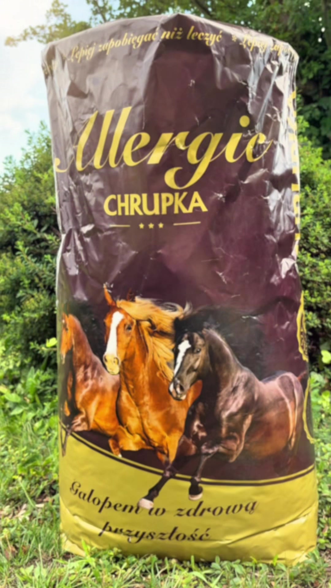 @Chrupka