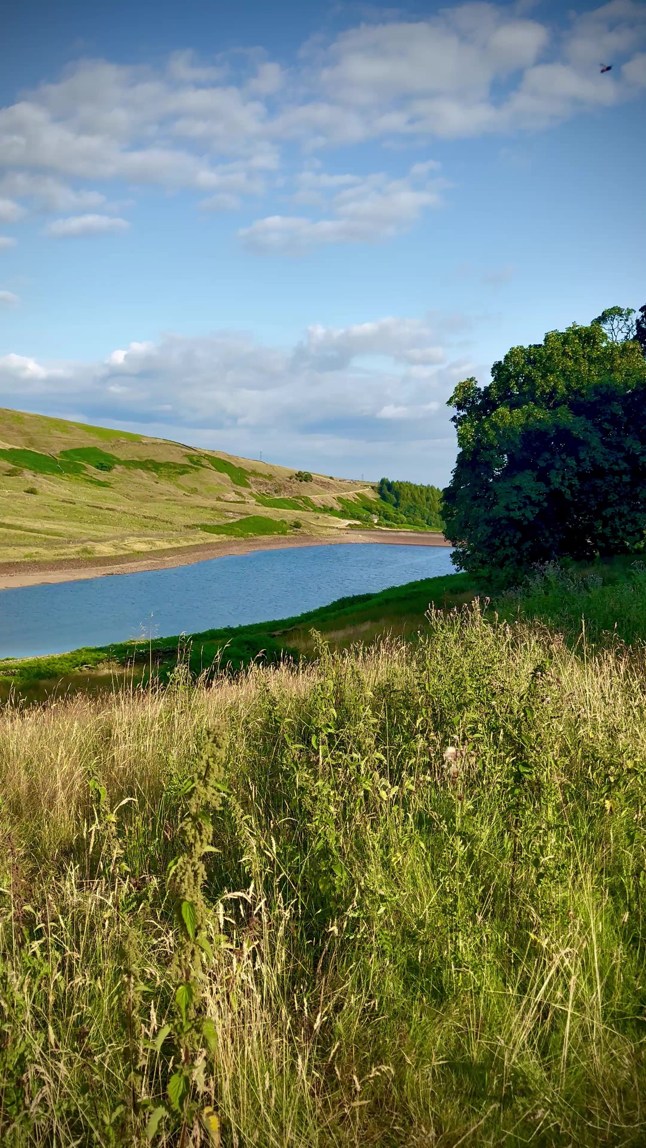 @Nature lover