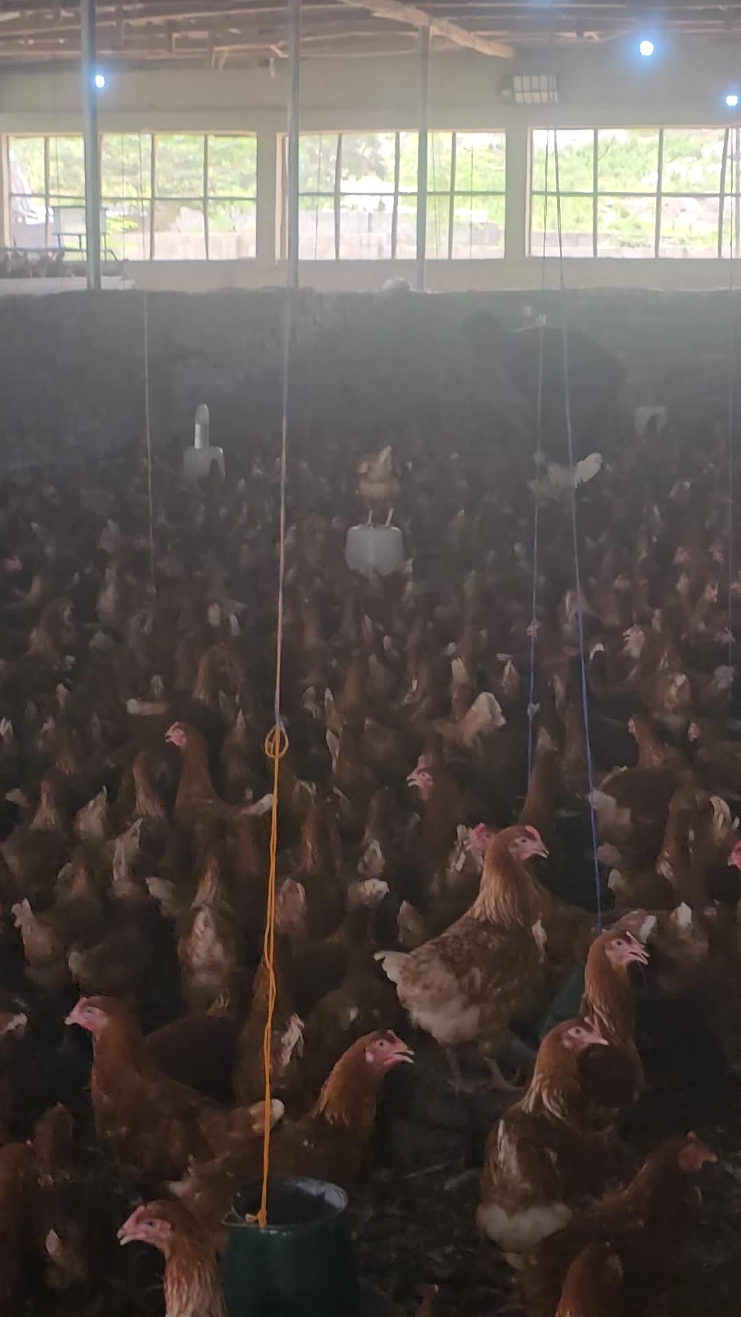 @thetri farms