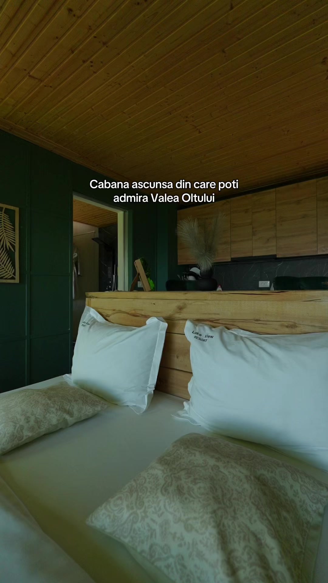 @Forest View Valcea