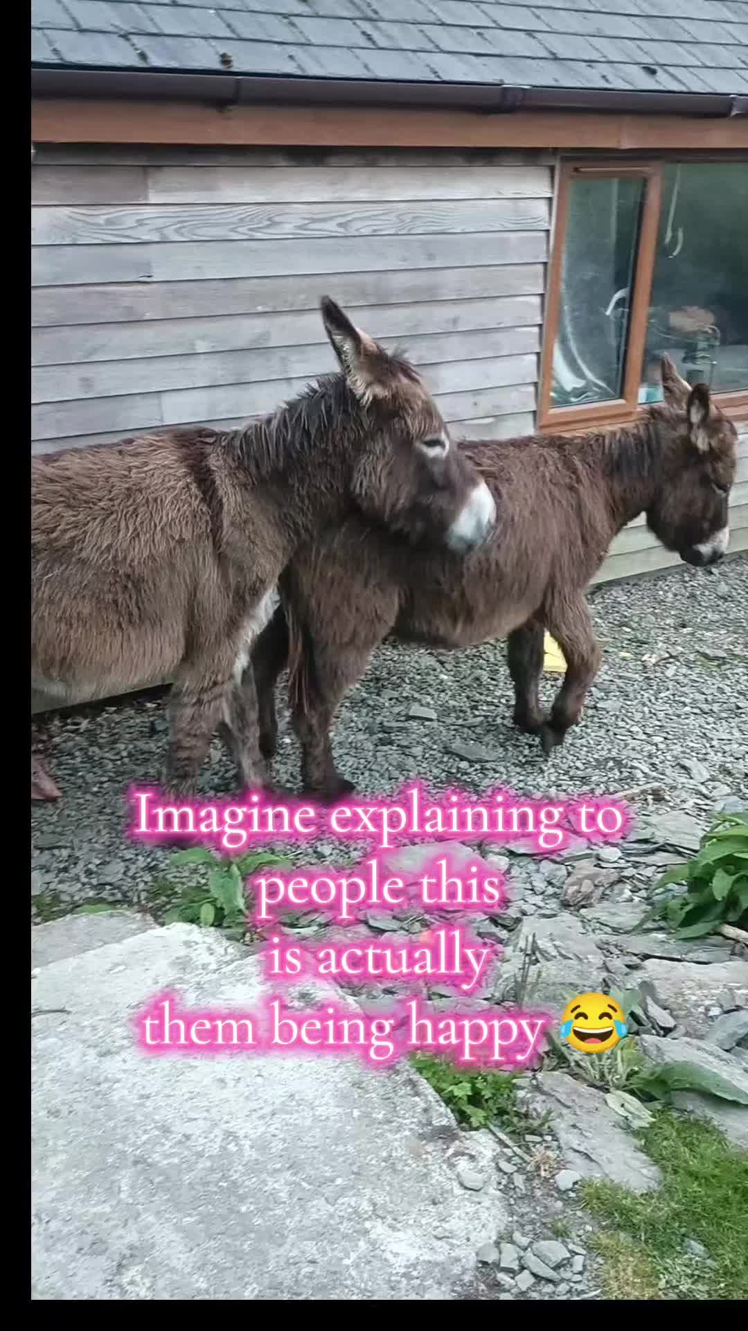 @fieldsforevere42