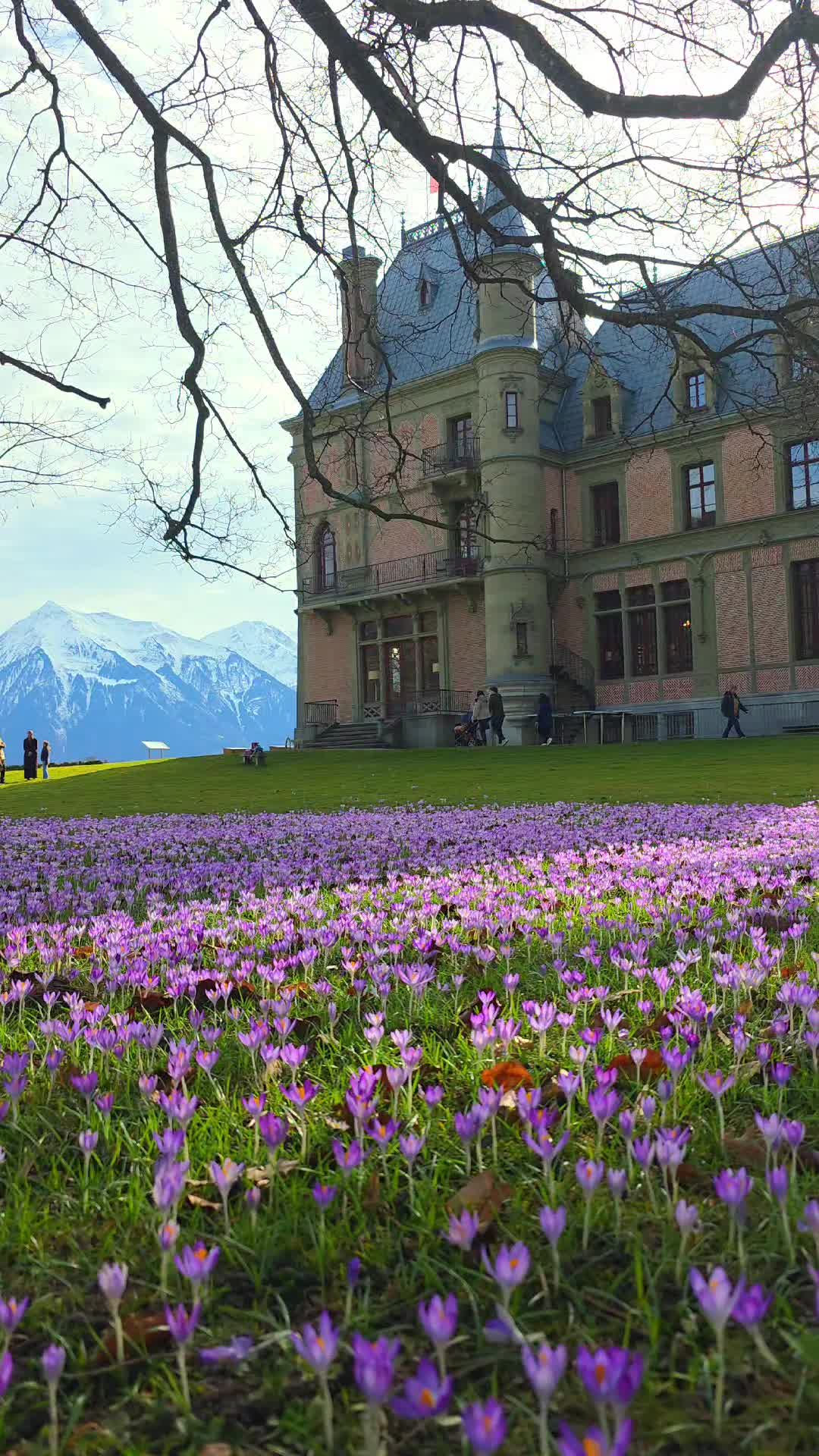 @Jui in Swiss