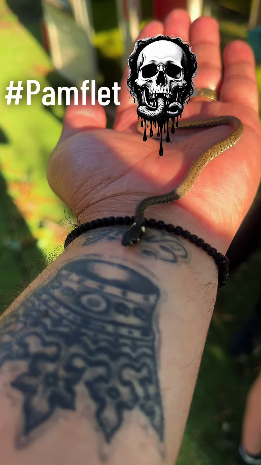 @Cozianu Nelu