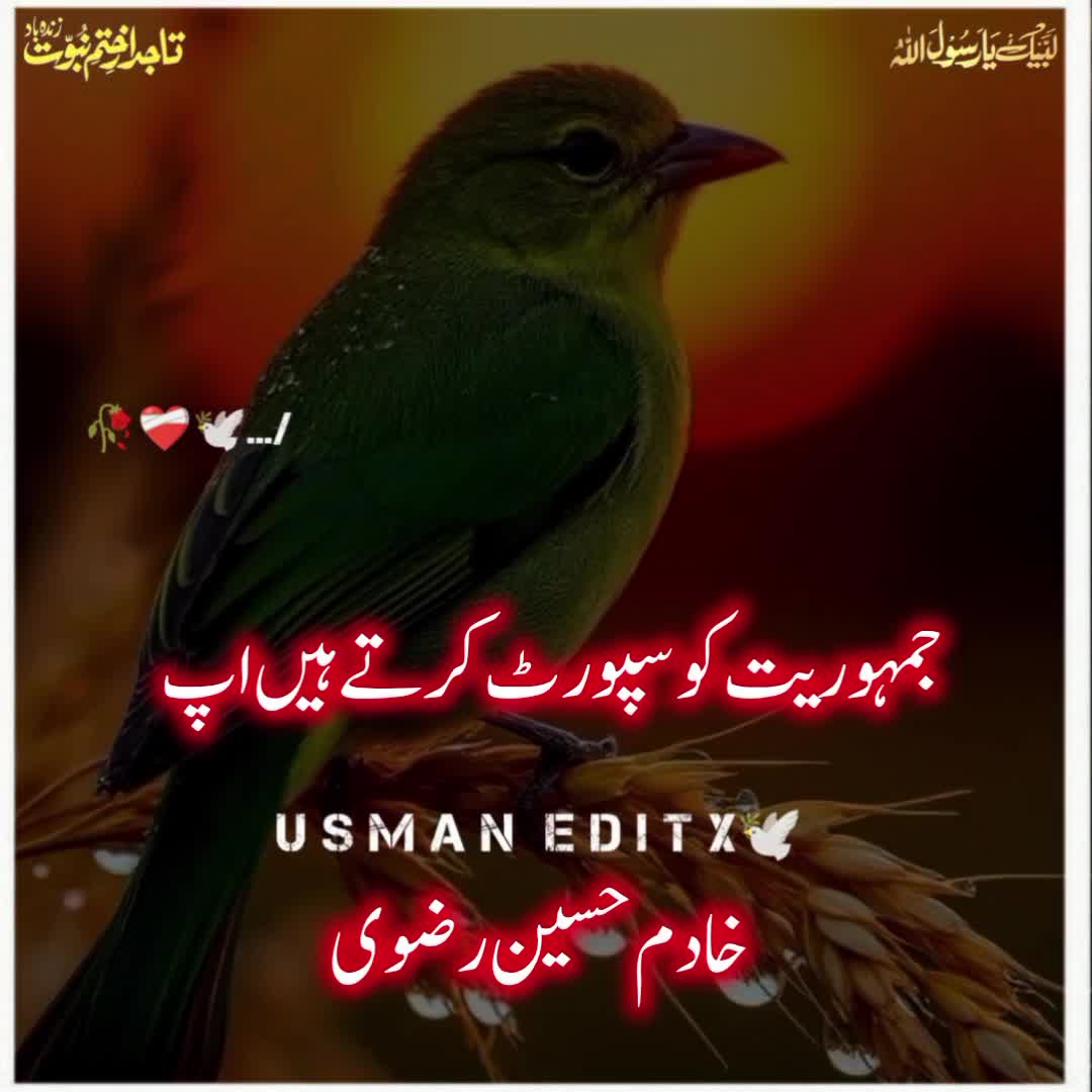 @سلطنت رضویہ 😍😍