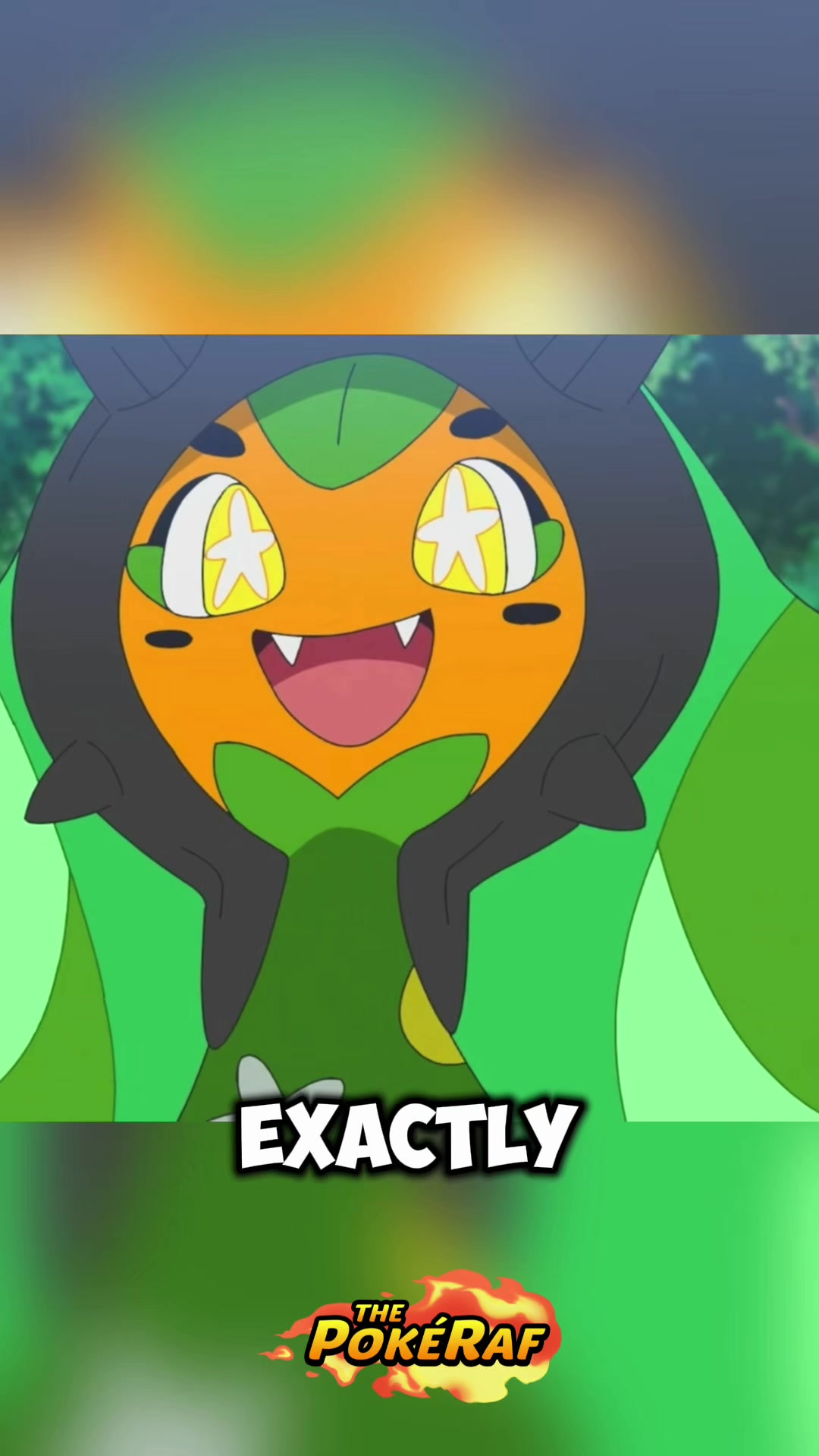 @ThePokéRaf