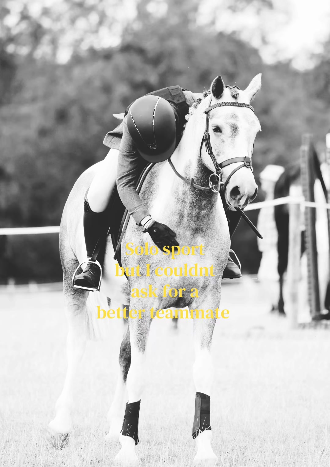 @🐎🤭