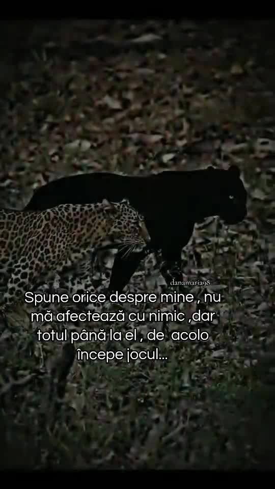 @Danamaria98