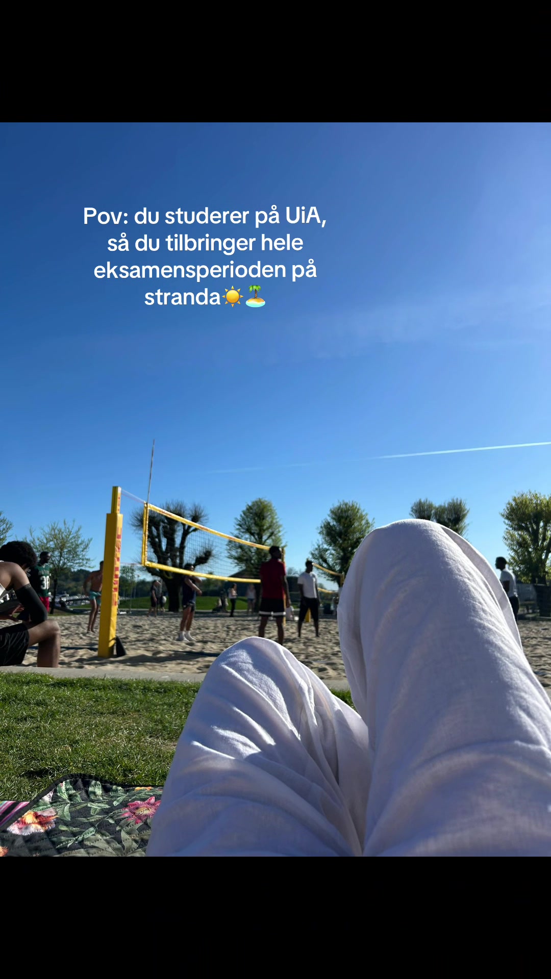 @uialaerer