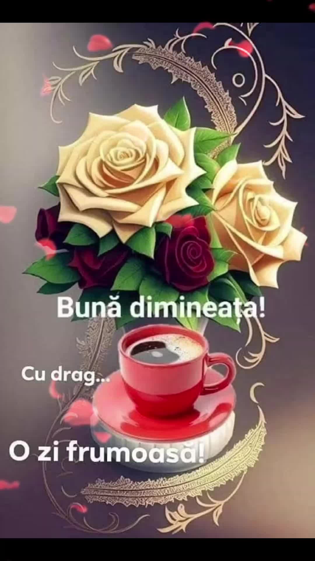 @Nicolae Iamandi Marin