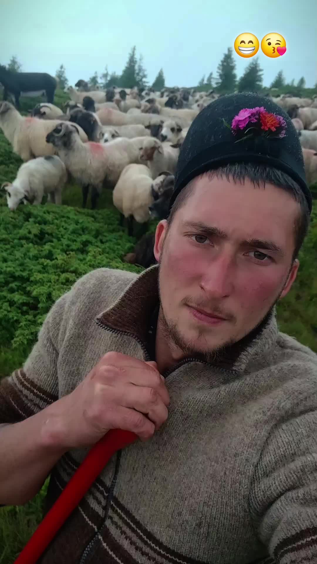 @Jidanu 🌲🐕🐑🌲❤️
