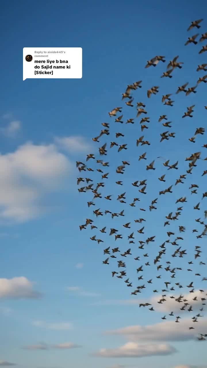 @꧁༺ 𝑫𝒓𝒆𝒂𝒎 𝑼𝒑 ༻꧂