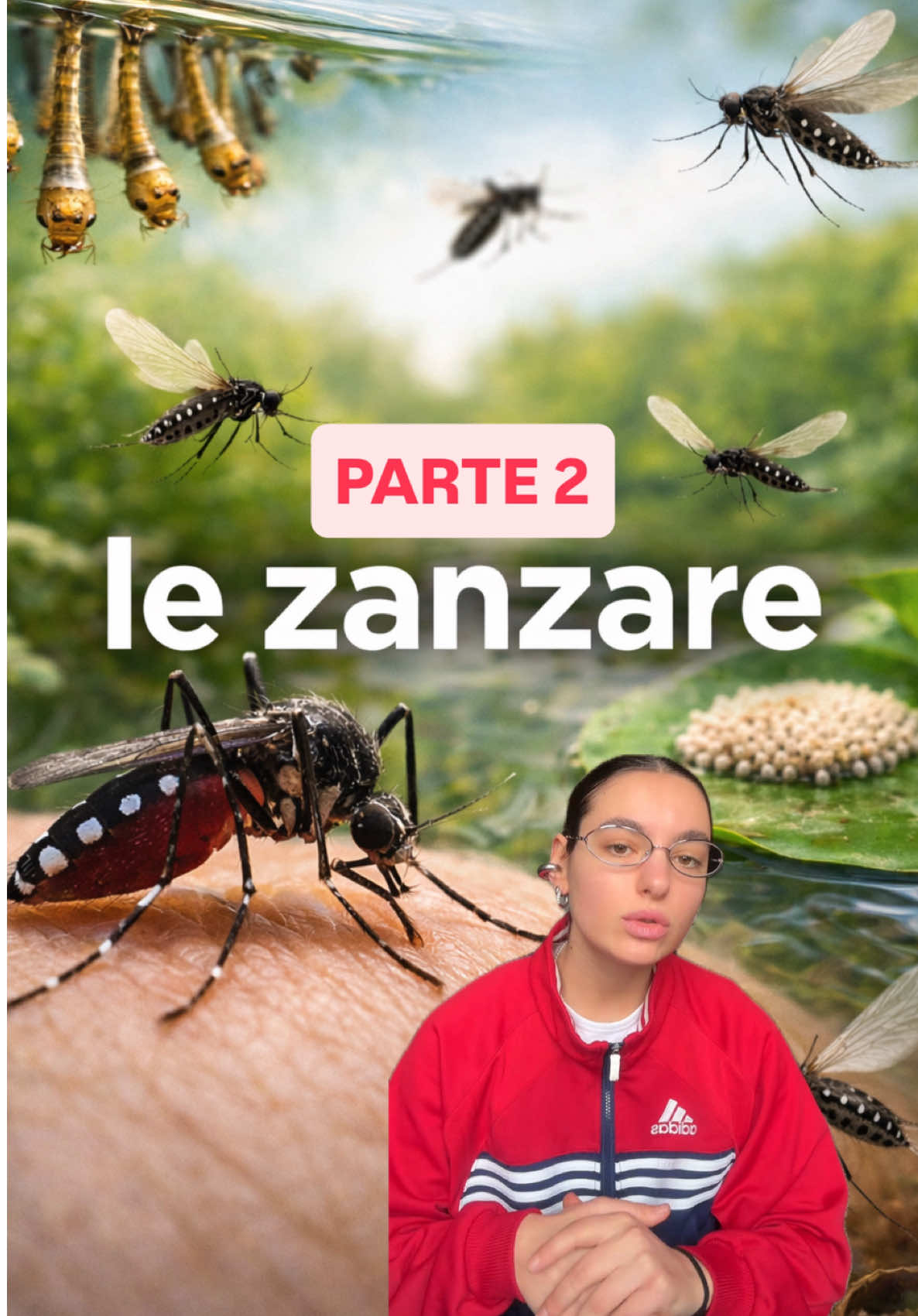 @Annalaura Granata