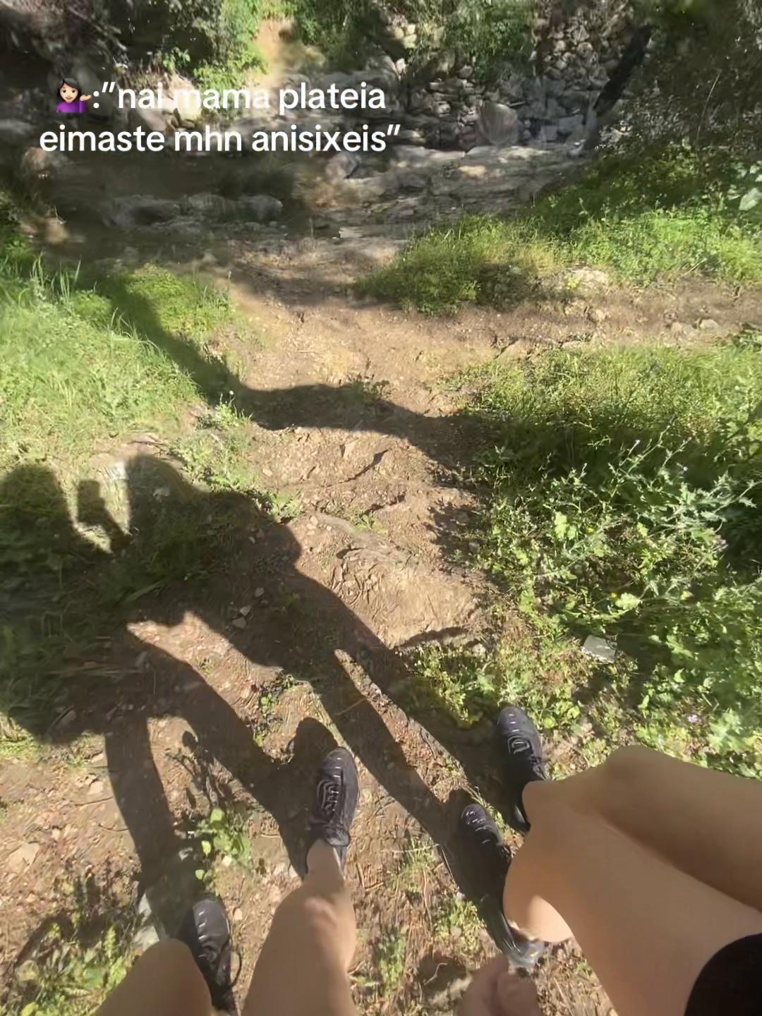@🐆🐆