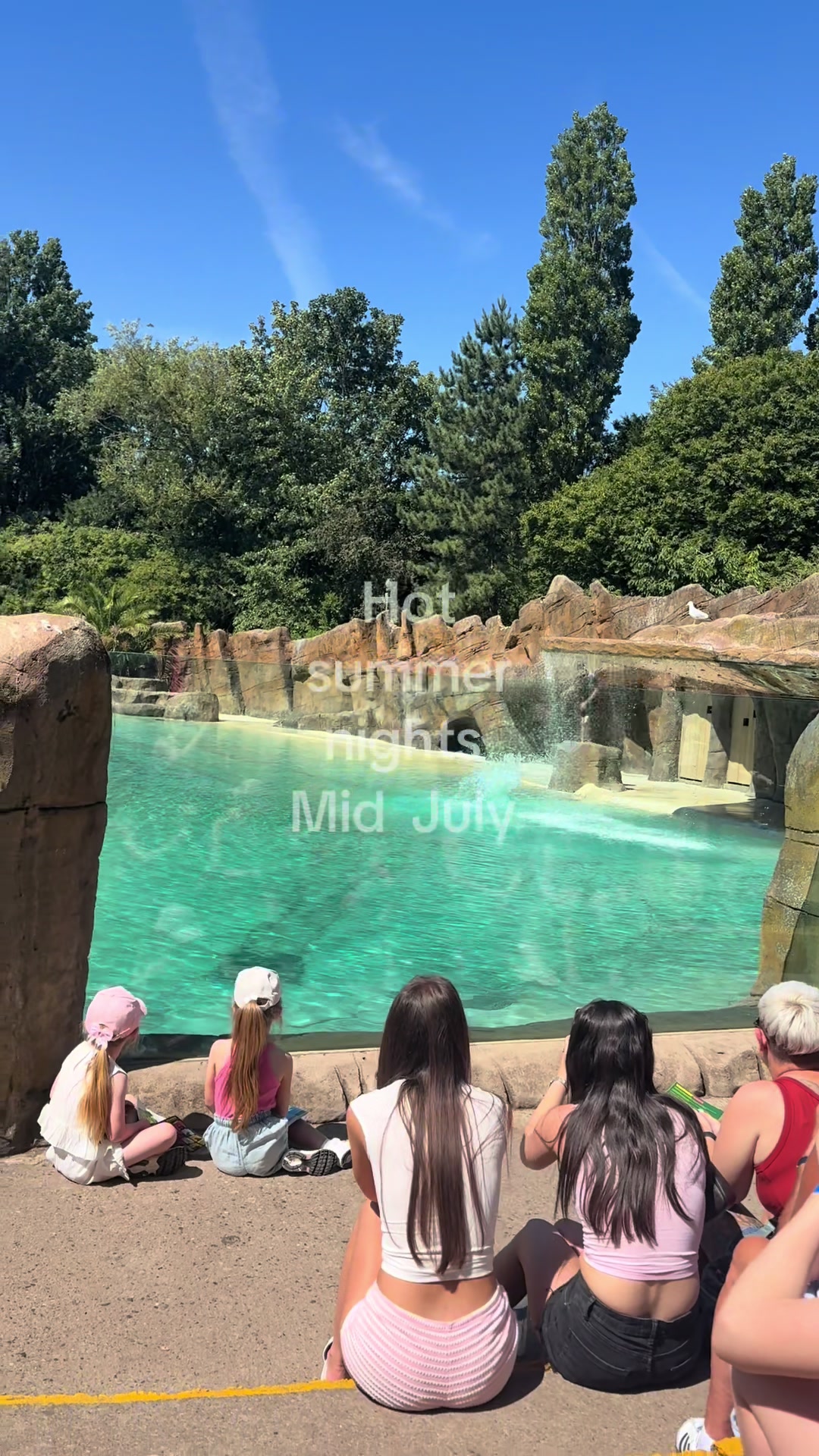 @*ੈ✩‧₊˚༺𝓔𝓵𝓵𝒂༻*ੈ✩‧₊˚