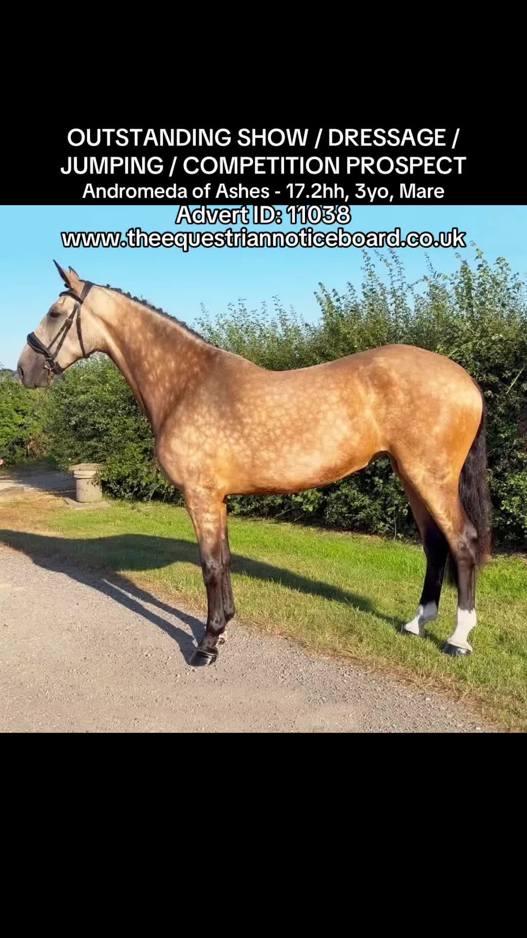 @theequestriannoticeboard