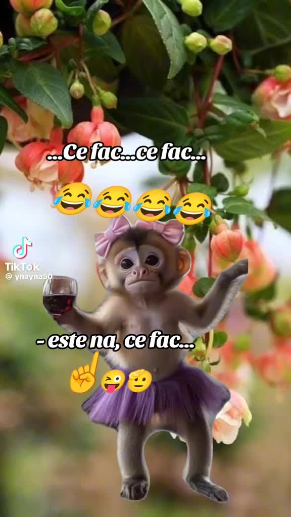 @sutaloredana382