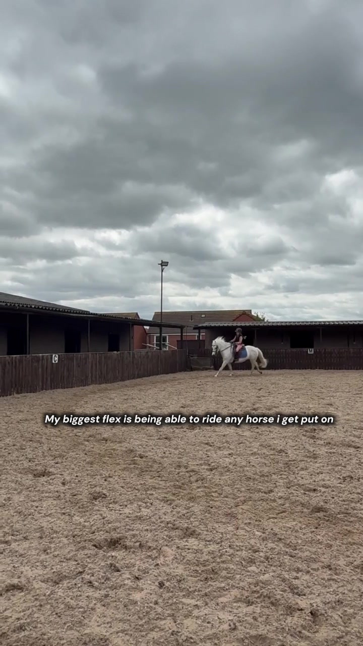 @LottiesHorseAdventures🦄🐴