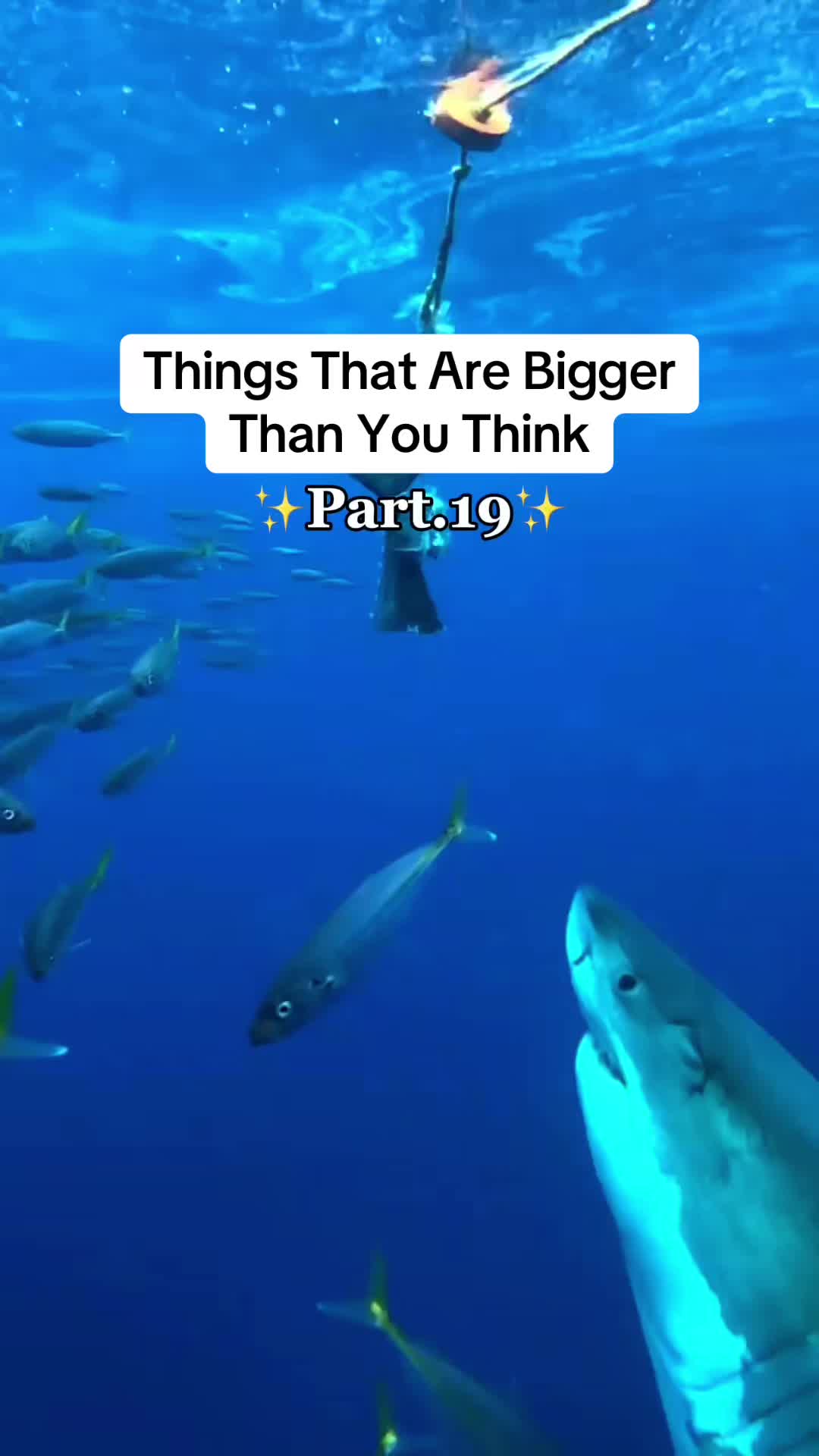 @Our Planet