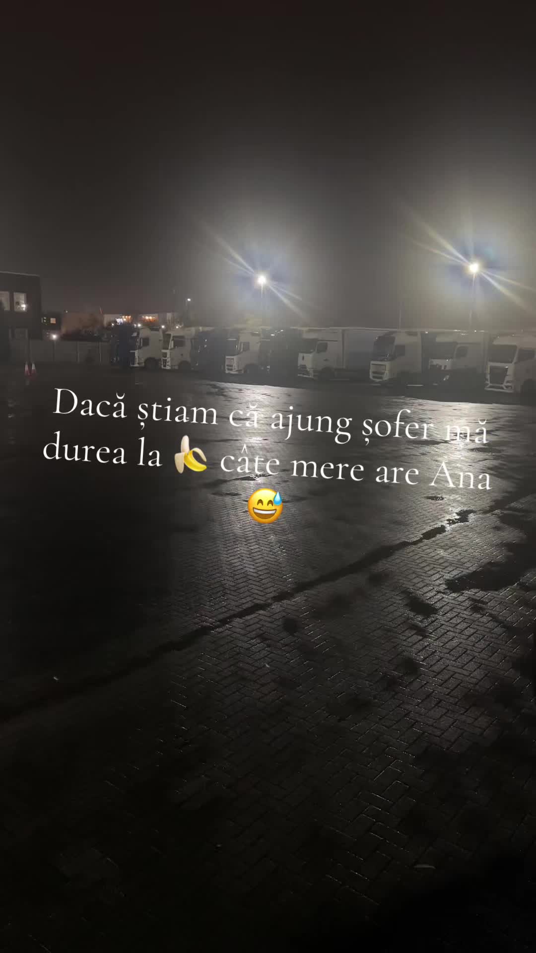 @catalin🦂