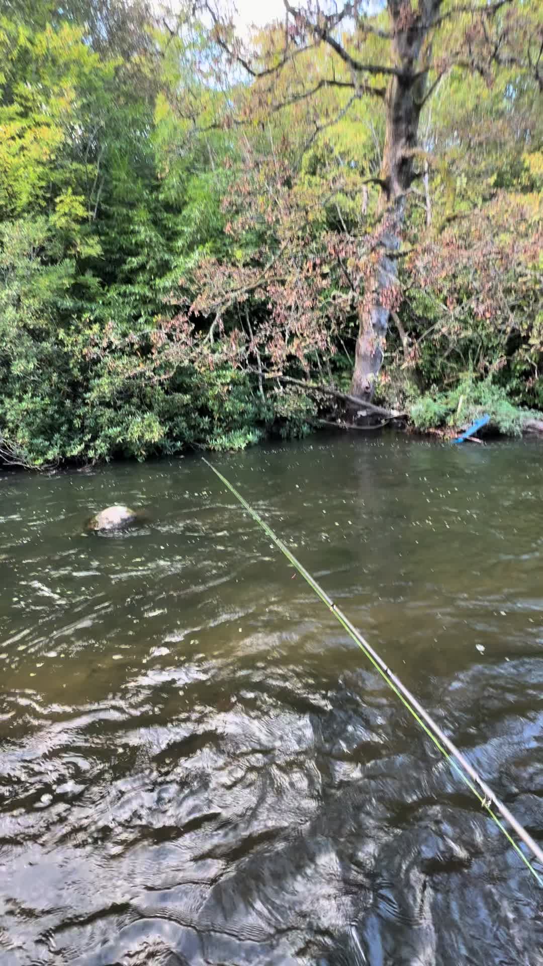 @Alba Trout 🏴