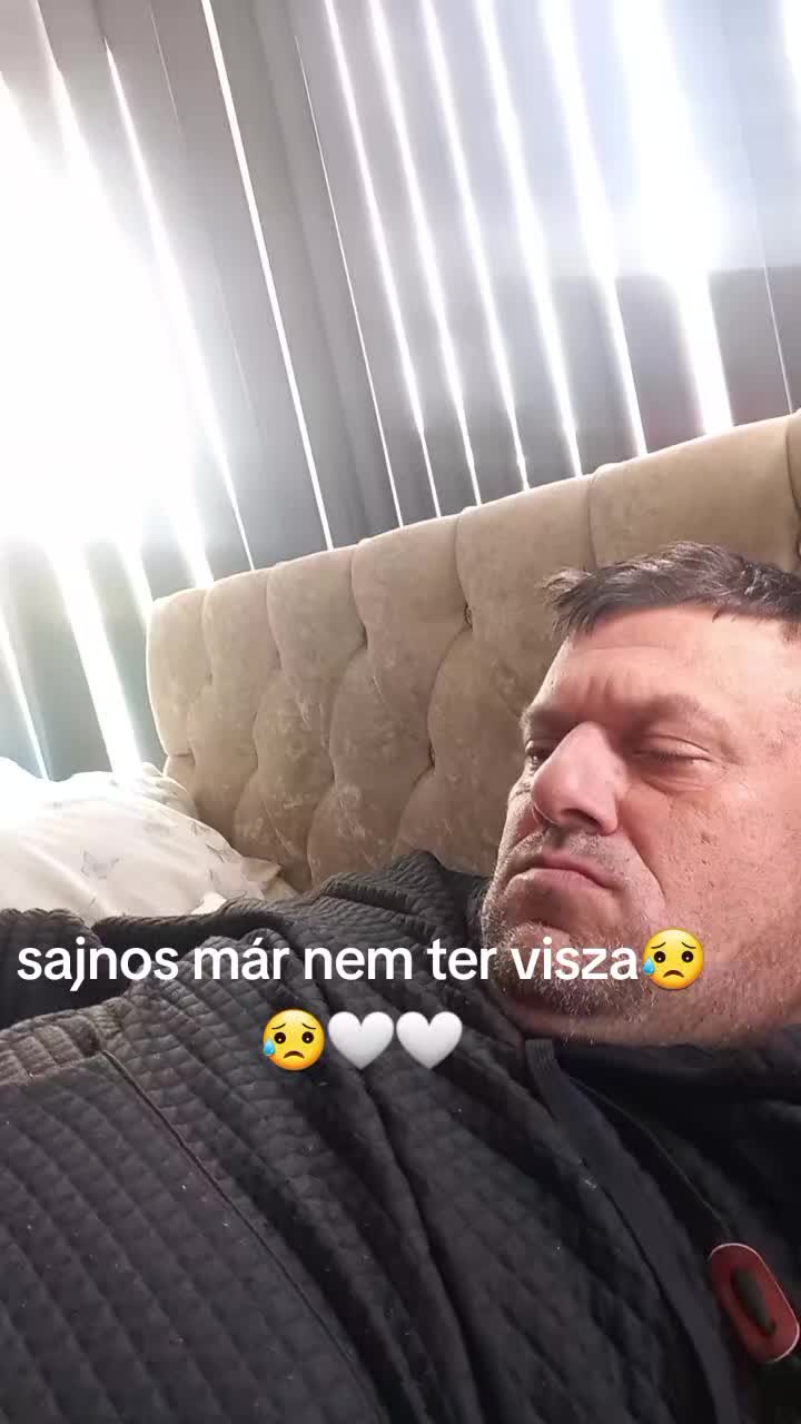 @tomi tomi