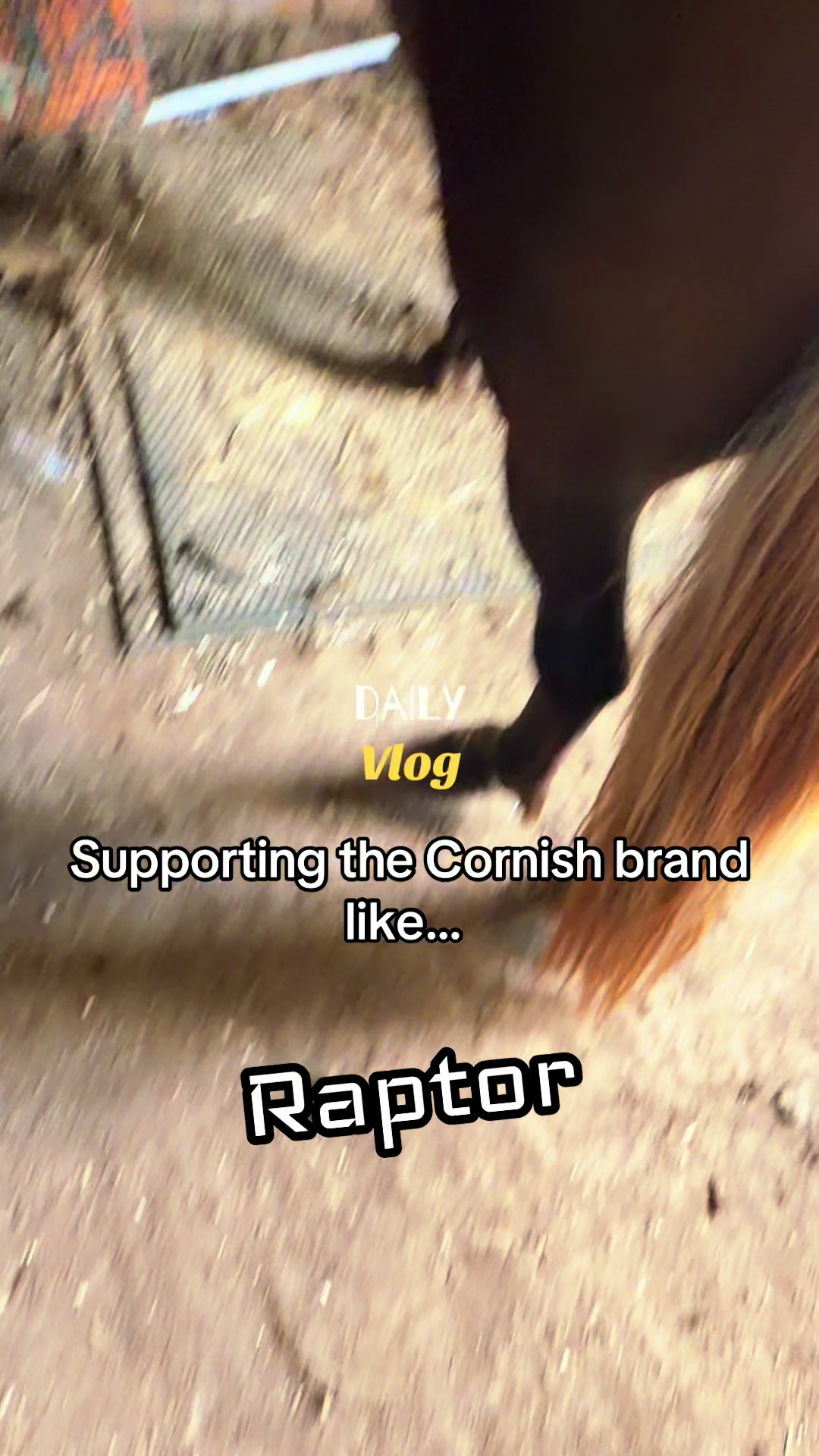 @horsetiktoc