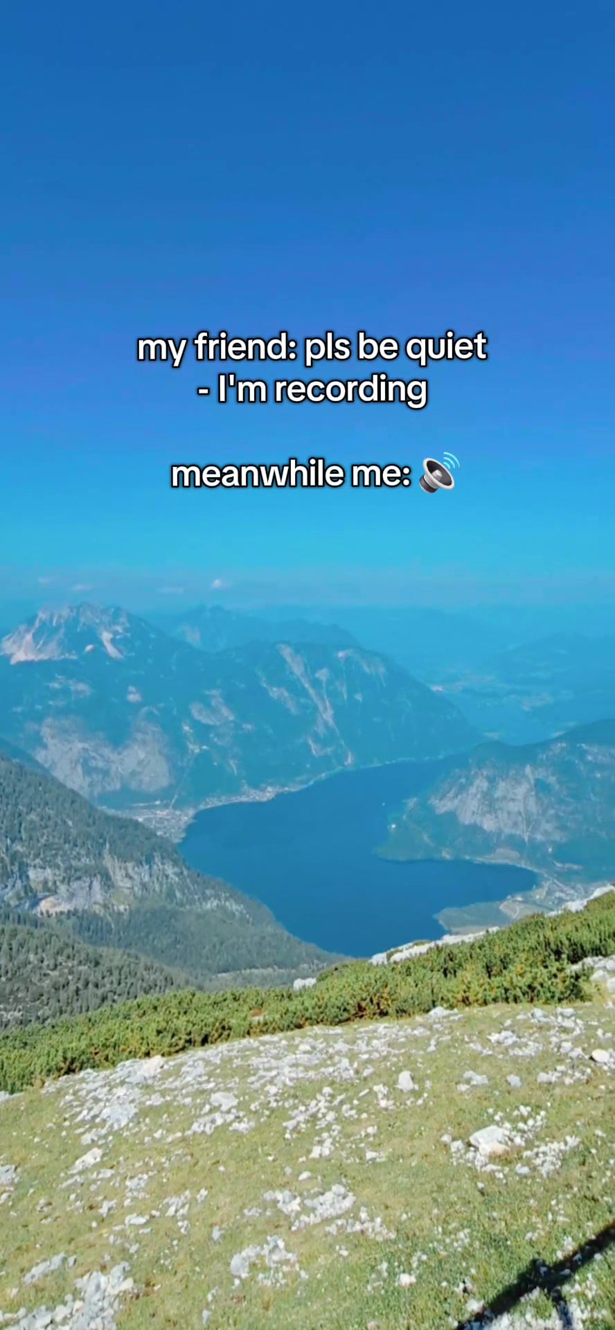 @_dreamingfalcon_