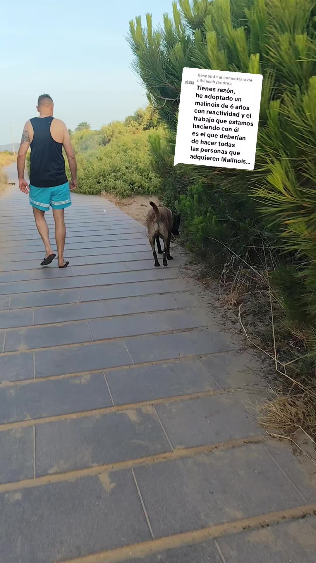 @Sonia Medina