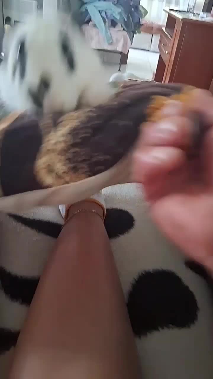 @Ștefania.Valentina6