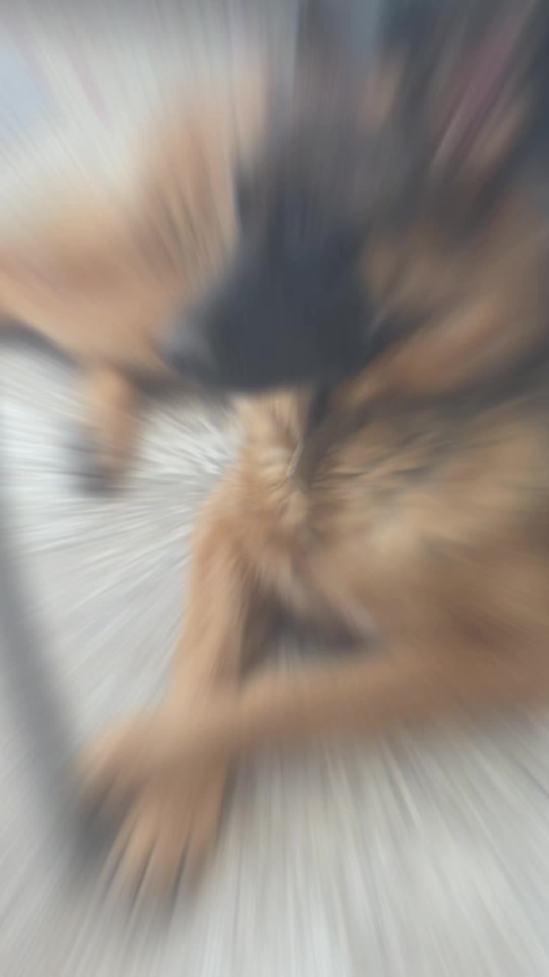 @Delphine~Vincent