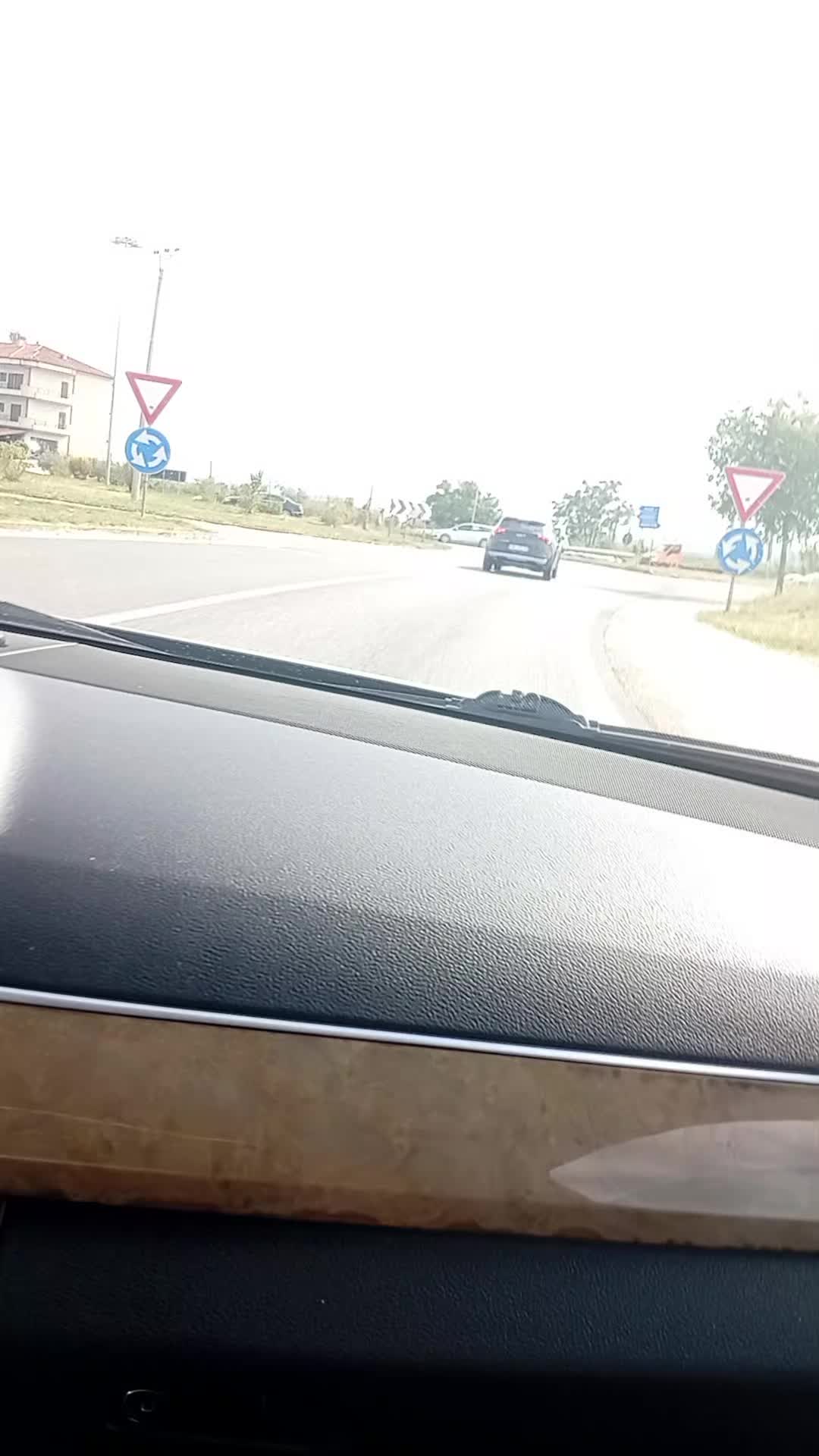 @Mandi🇦🇱🦁