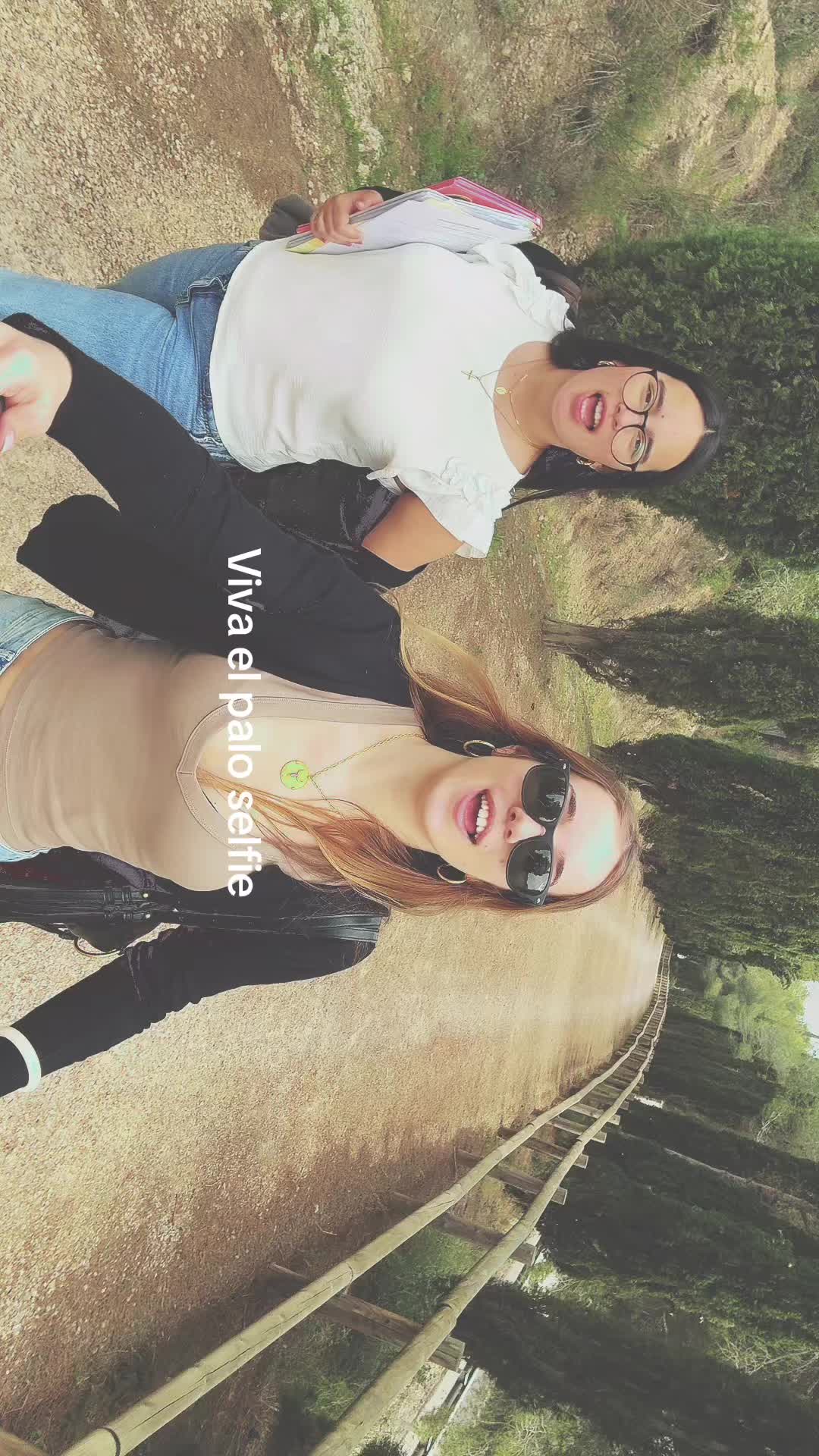 @vandevibras