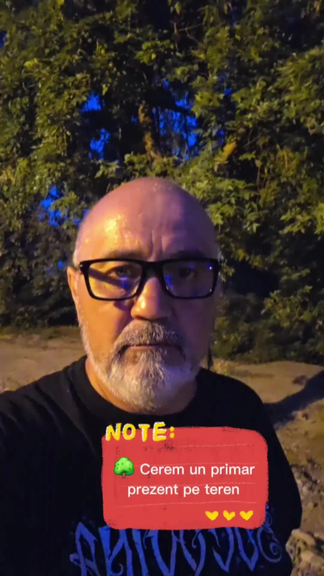 @George Stefanache
