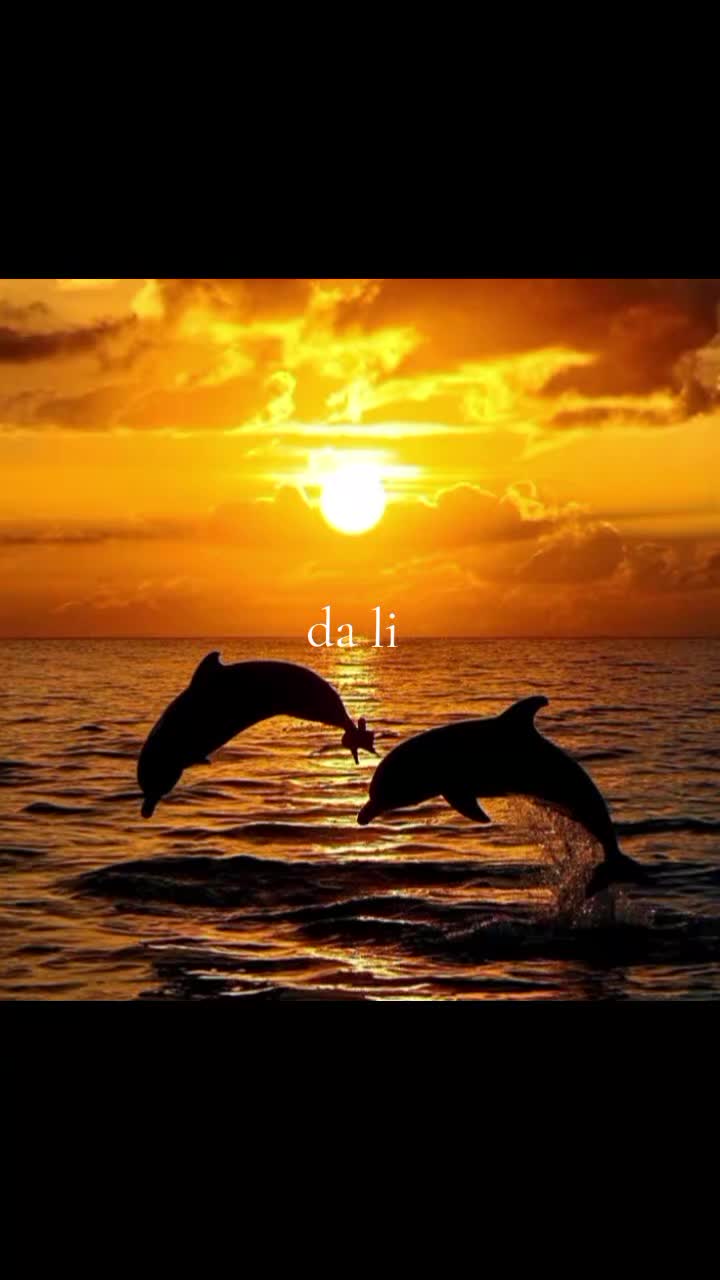 @☽٭★тαɾa★٭☾
